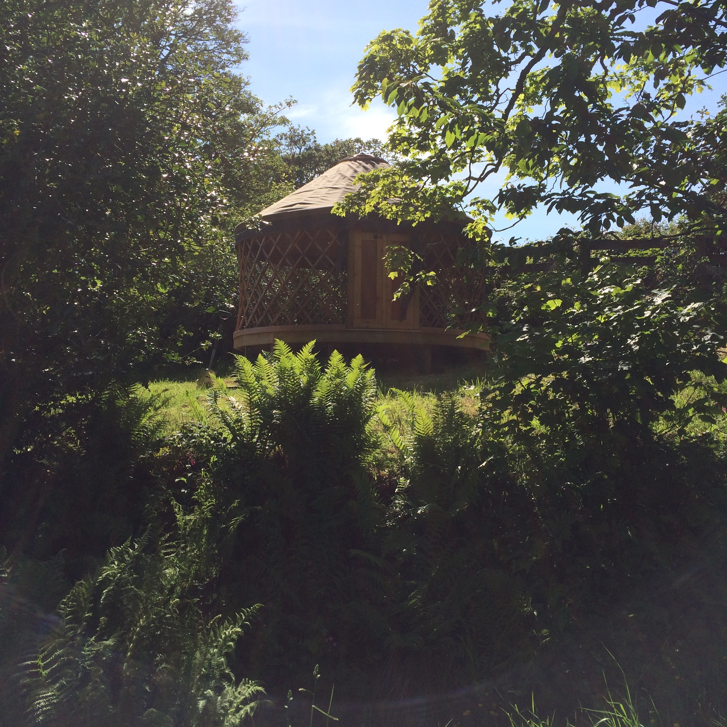 Little Yurt (1)